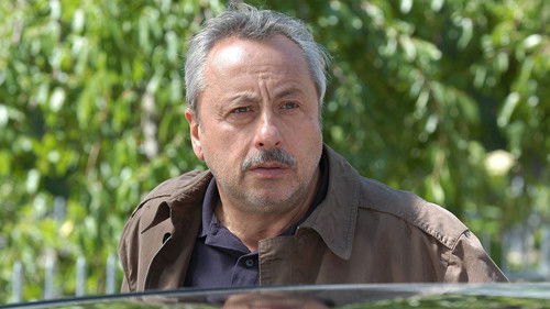 Stubbe – Von Fall zu Fall Bild 4