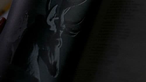 Vendredi soir Bild 8