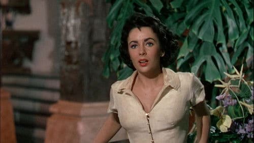 Elefantenpfad Bild 4