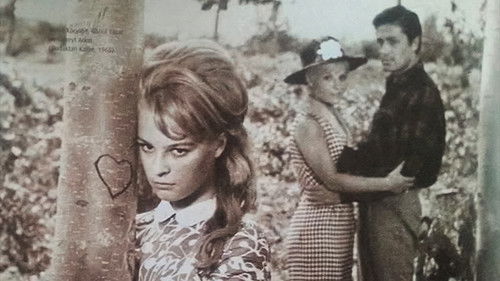 Dudaktan Kalbe Bild 4