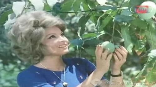 أبدًا.. لن أعود Bild 2