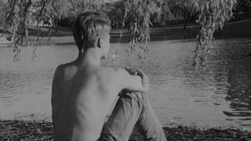 Amerika und (n)irgendwo Bild 2