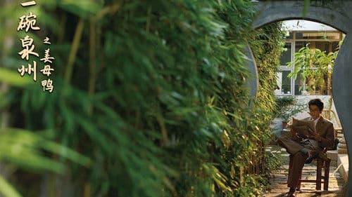 一碗泉州之姜母鸭 Bild 3