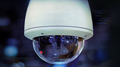 Arabellas Crime Time - Verbrechen im Visier Bild 5