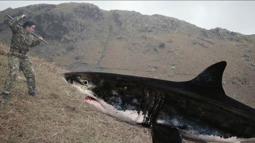 Mountain Shark Bild 1