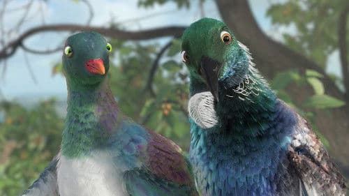 Bird's Eye View Bild 1