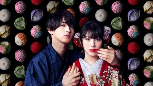 私たちはどうかしている Bild 2