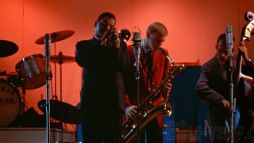 Jazz an einem Sommerabend Bild 7