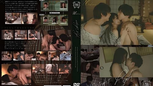 midnight high Bild 1