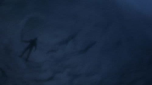 Die Bourne Identität Bild 4