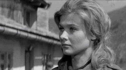 Desant na Drvar Bild 1