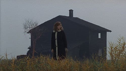 Die rote Wüste Bild 8