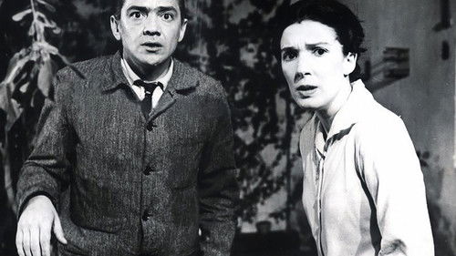 El dependiente Bild 2