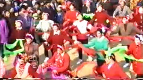 1995年2月2日民间举办迎喜花会 Bild 4