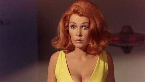 Leise flüstern die Pistolen Bild 5