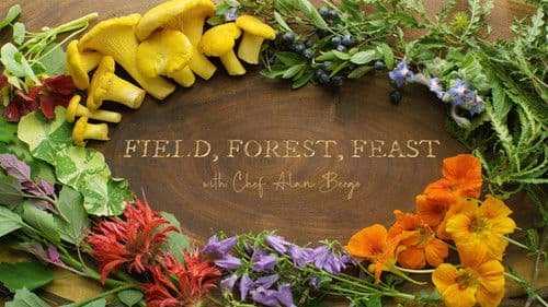 Field, Forest, Feast Bild 2