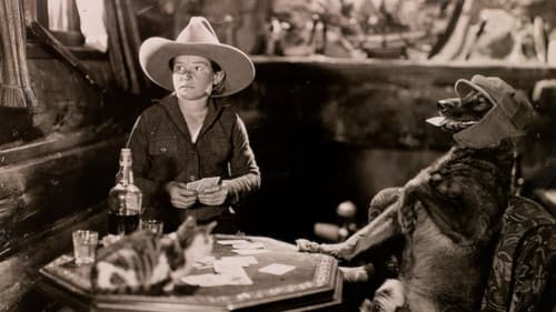 The Hound of Silver Creek Bild 1