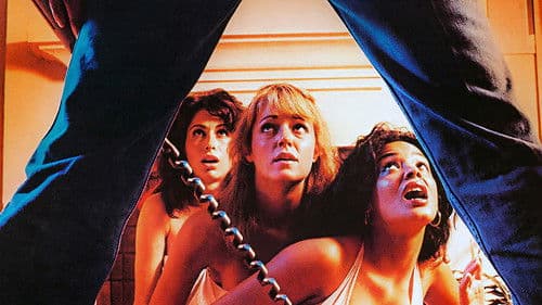 The Slumber Party Massacre Bild 4