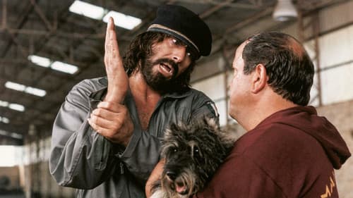 Das Schlitzohr vom Highway 101 Bild 2