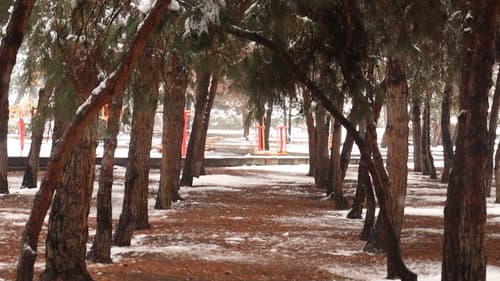 این است زندگی Bild 2