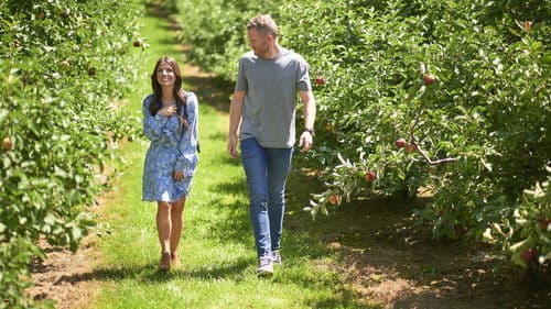 Die Verlobungsplanerin - How To Find Forever Bild 3