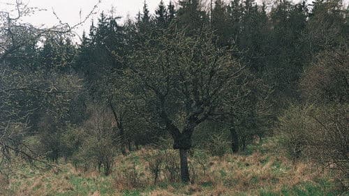 Takovéhle jaro snad ještě nebylo Bild 1