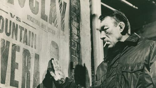 Die Faust im Gesicht Bild 8