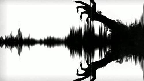 Paranormal Transmission Bild 1