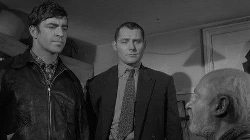 Der Hausmeister Bild 6