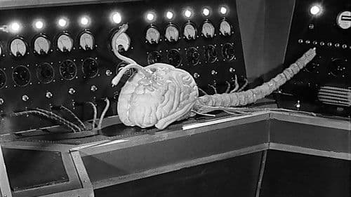 Ungeheuer ohne Gesicht Bild 4