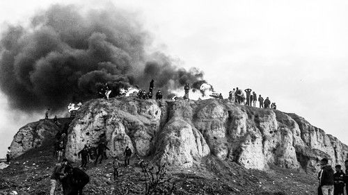 This Rain Will Never Stop Bild 1