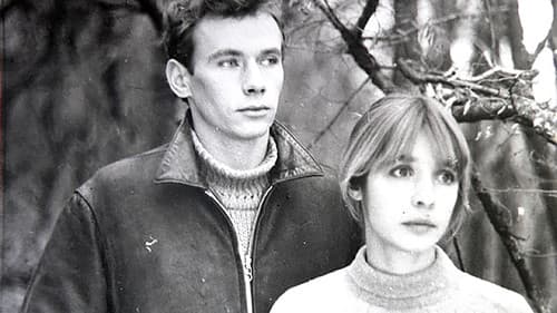 Прости нас, первая любовь Bild 1