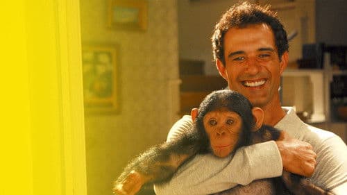 Caras & Bocas Bild 3