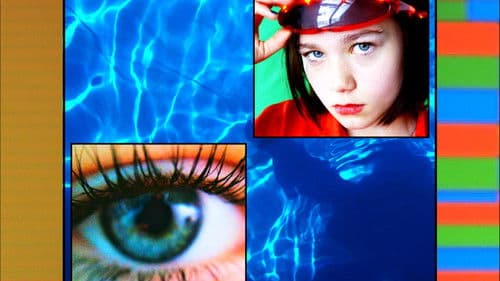 Team Hurricane Bild 6