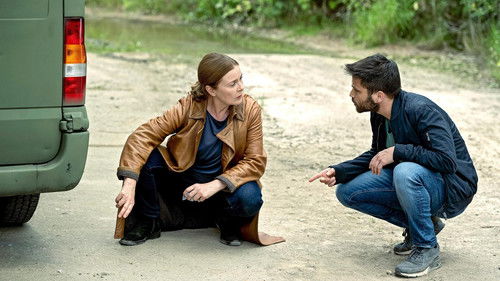 Die Füchsin - Treibjagd Bild 4