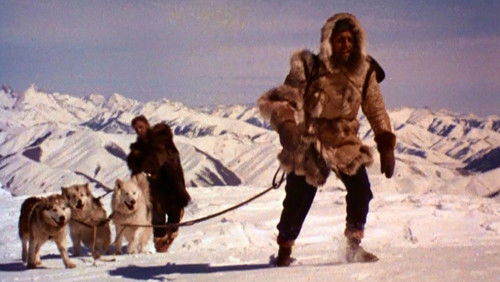 Gefährten des Grauens Bild 1