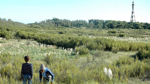 Una tarde en la vida de dos niños kelpers Bild 3