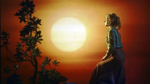 Der Prinz hinter den sieben Meeren Bild 1