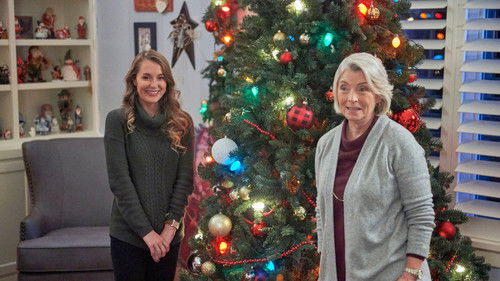 Weihnachten nach Wunsch Bild 7