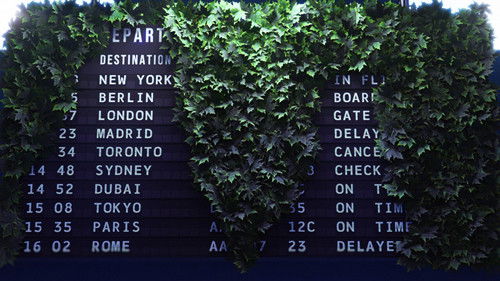 The Untranslatable Forest Bild 1