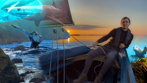 Irlands wilde Inseln Bild 3