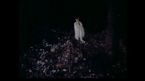 О безумной любви, снайпере и космонавте Bild 4