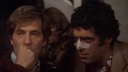 California Split Bild 7