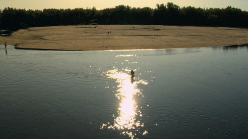 Comme des mouches Bild 1