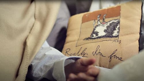 No Money Down Bild 1