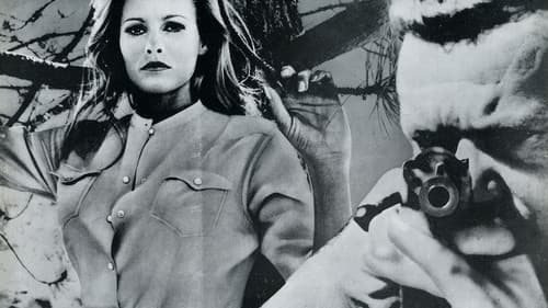 Nightmare in the Sun Bild 1