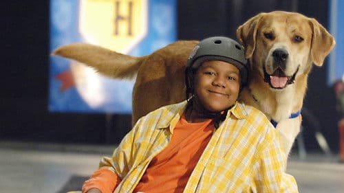 Gut gebellt ist halb gewonnen Bild 3