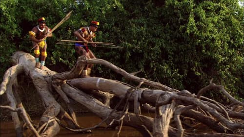 Amazon Forever Bild 1