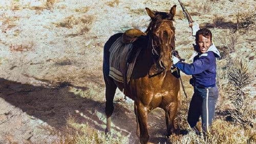 Gewehre zum Apachen-Paß Bild 6