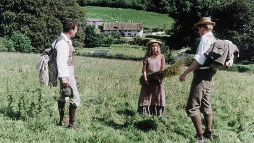 Ein schicksalhafter Sommer Bild 1